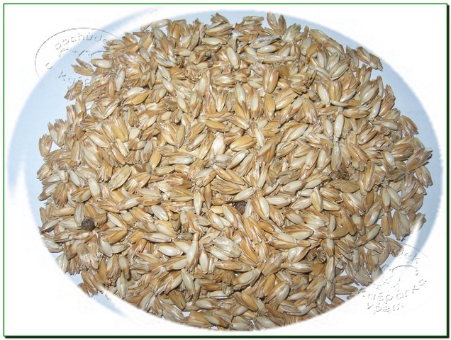 Pohankový / špaldový polštářek 30x20cm  LIŠKA